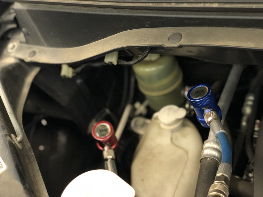 image_6487327 (6).JPG