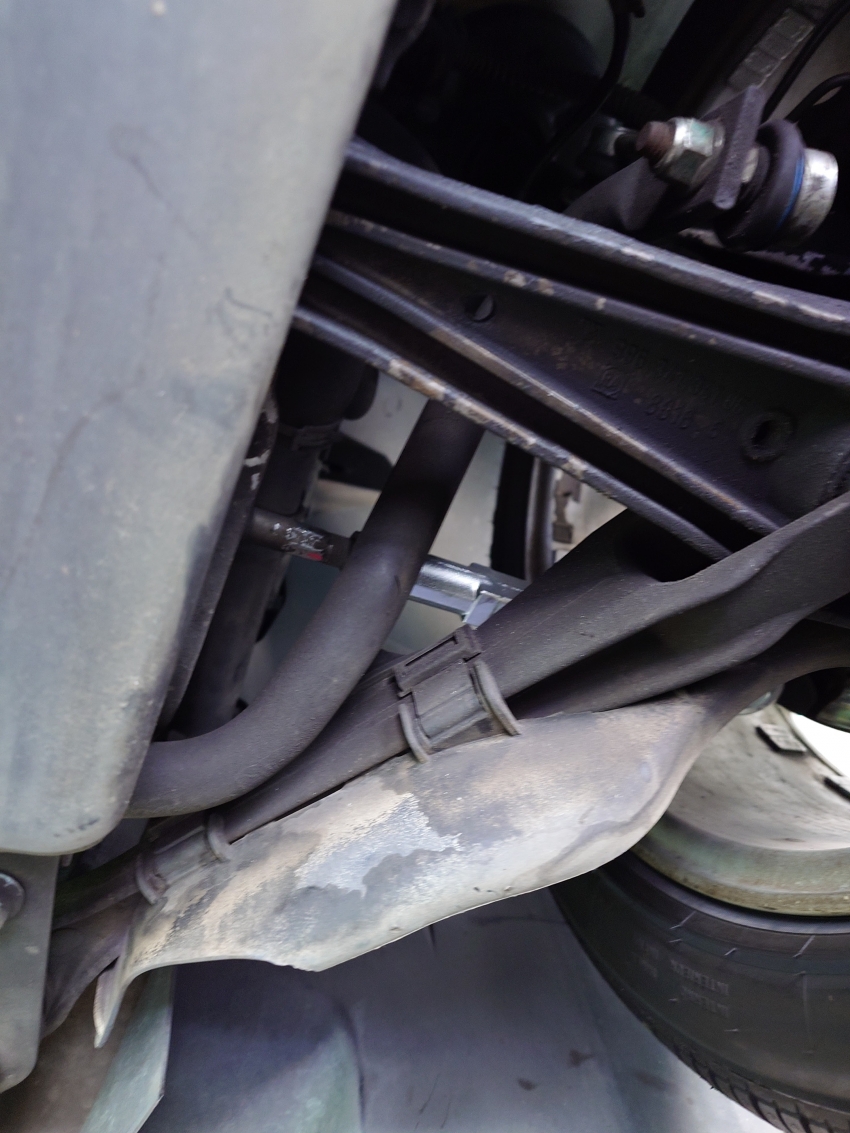 20240613_110606 (1).JPG