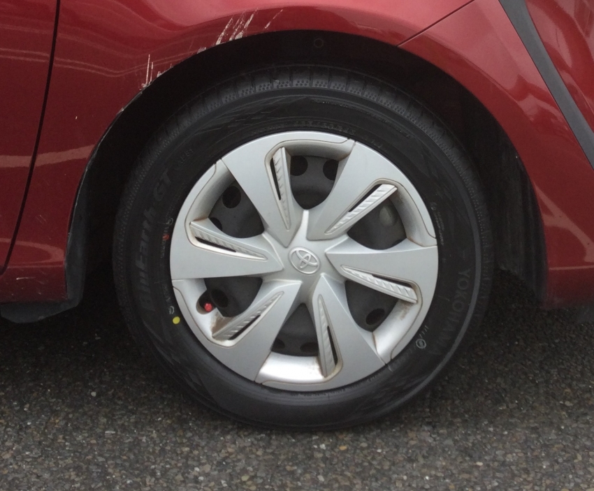 YHBAGTTYSIENT (4).JPG