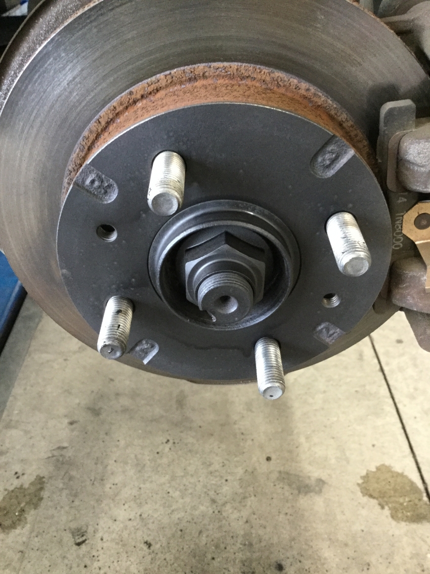 dodongadondondon (1).JPG